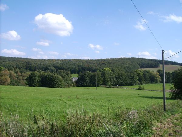 Felder Feyermühle